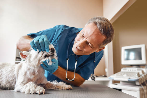 Best Emergency Dental Surgery in Ly Lake, IL