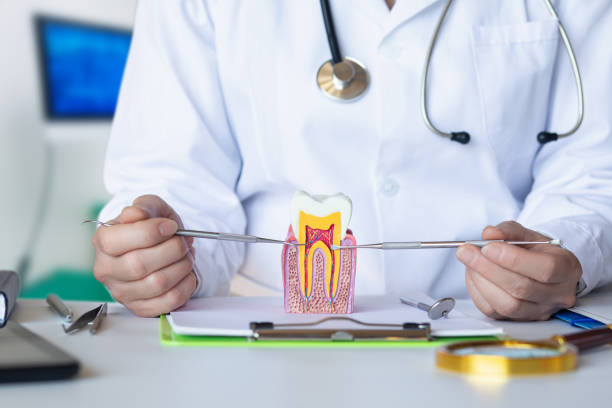 Best Emergency Wisdom Teeth Removal in Ly Lake, IL